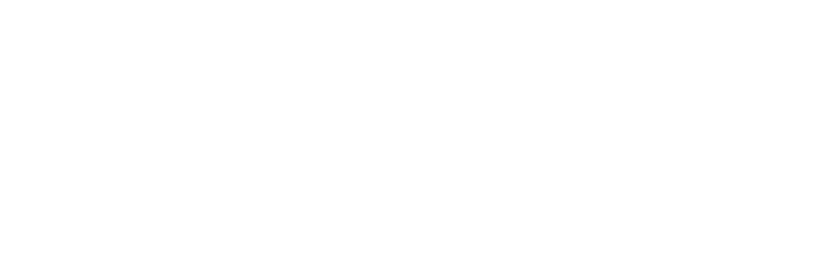 Flyboy